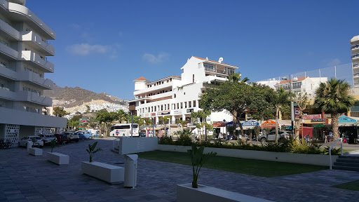 Autoescuela Torviscas en Playa de las Américas provincia Santa Cruz de Tenerife