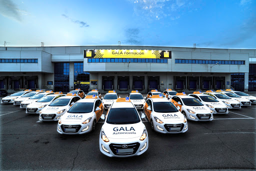 Autoescuela Gala - Castellana - Centro de Recuperación de Puntos en Madrid provincia Madrid