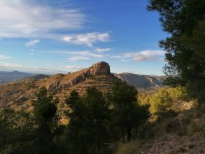 El Cid en Petrer provincia Alicante